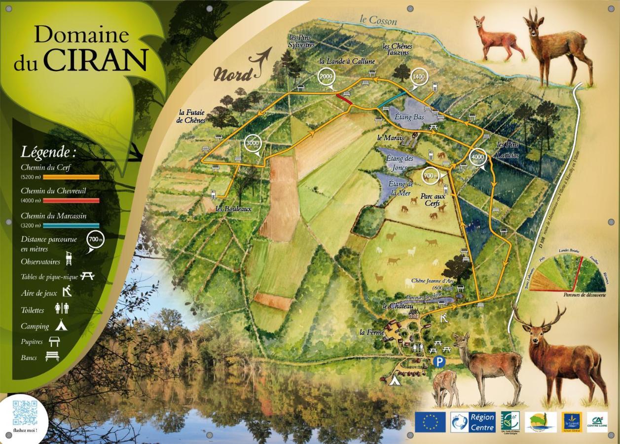 Le Cocoon D'Annabelle - Jolie Maison Avec Jeux Et Grand Jardin Pierrefitte-sur-Sauldre Ngoại thất bức ảnh